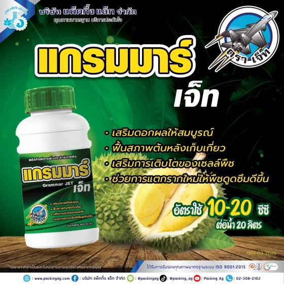 แกรมมาร์-เจ็ท